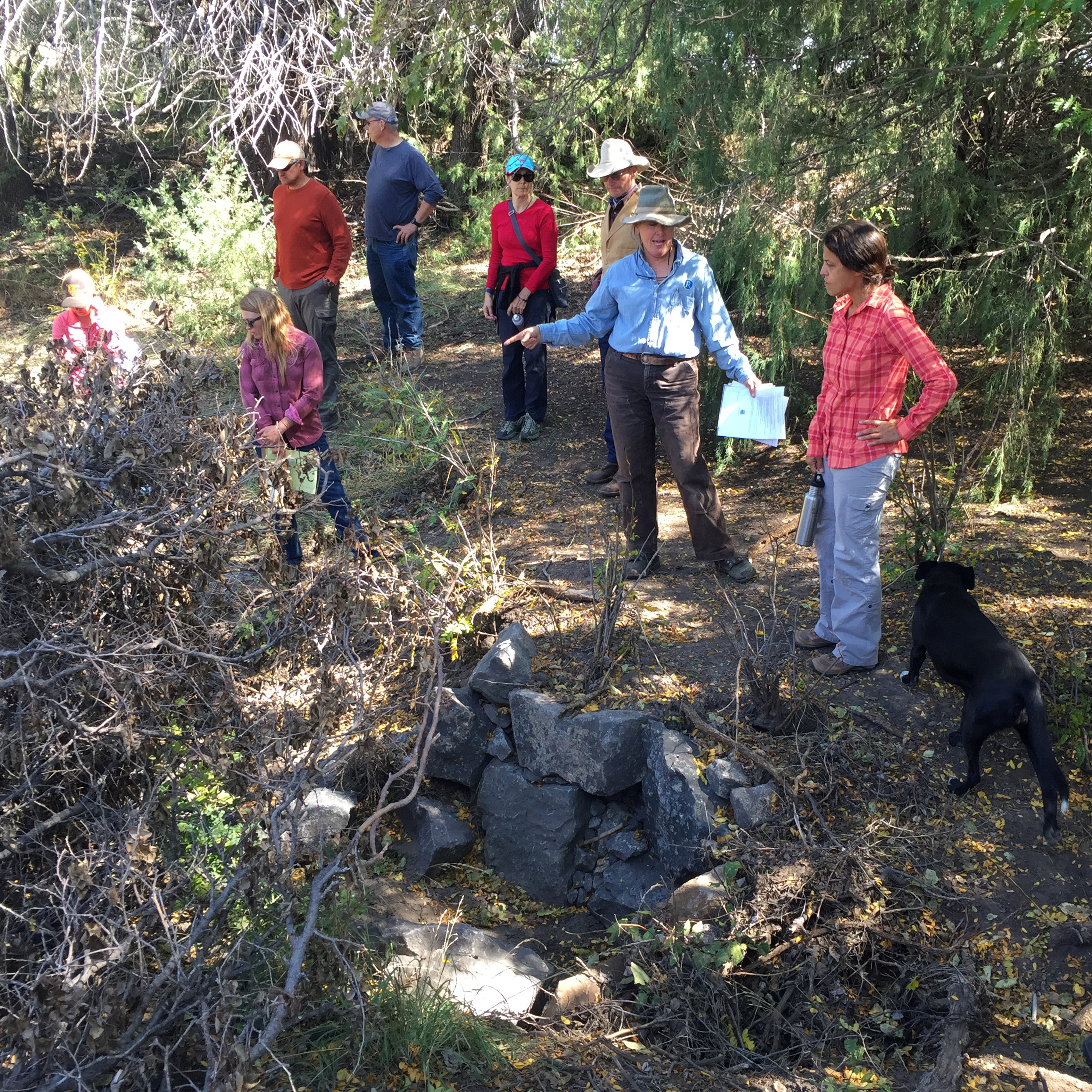 researchers evaluating the land