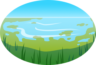 Pond with areas of blue water and areas of greenish water showing algal blooms.