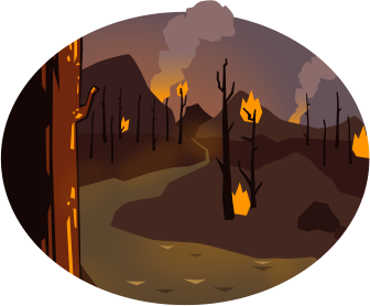 Forest fire in mountainous terrain