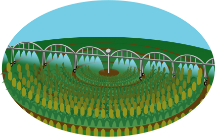 Irrigated field with center pivot